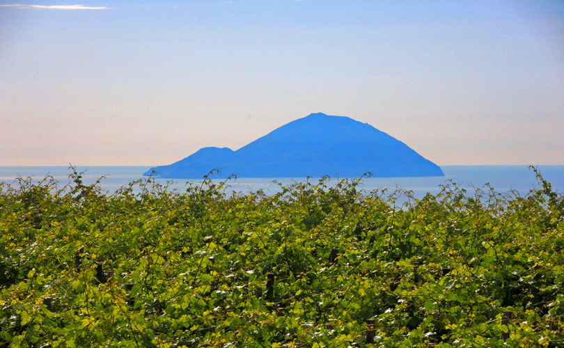 Wine and Sail Sicily